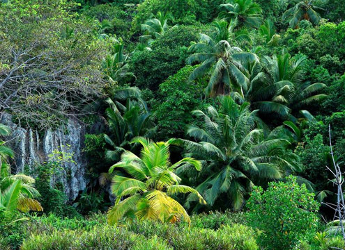 Fond Ferdinand Praslin