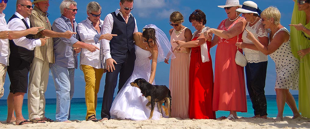wedding guests